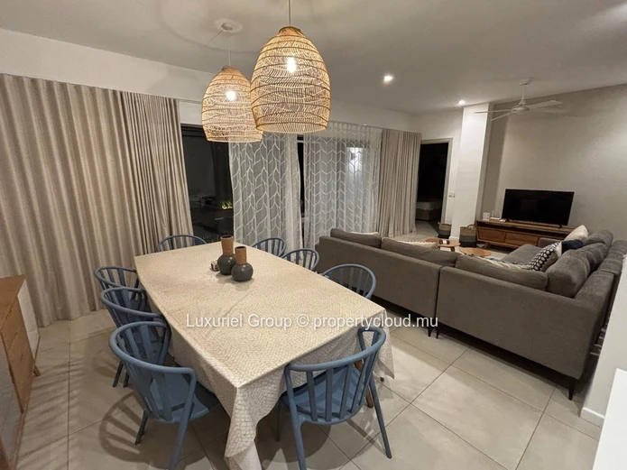 Modern Tropical Living in the Heart of the North