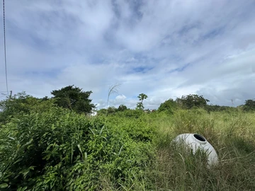 Residential Land