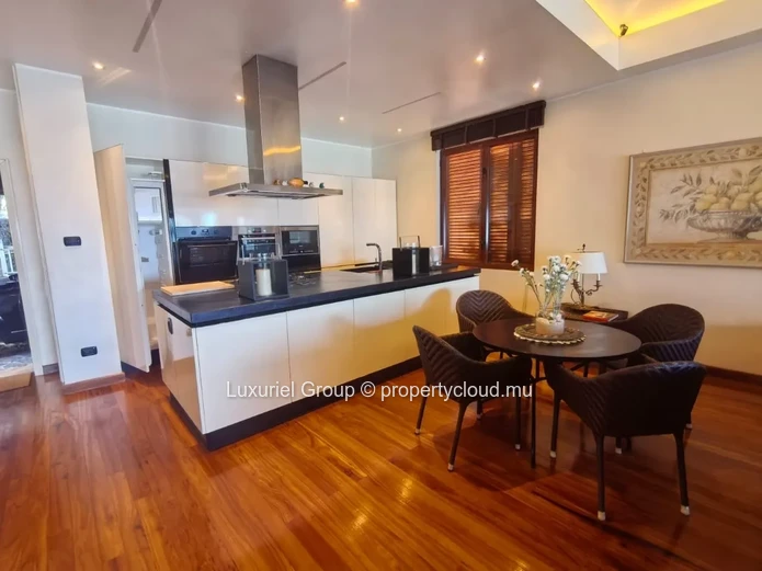 Exceptional Beachfront Villa in Pointe aux Canonniers