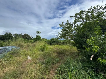 Residential Land