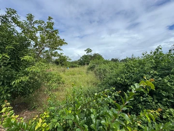 Residential Land