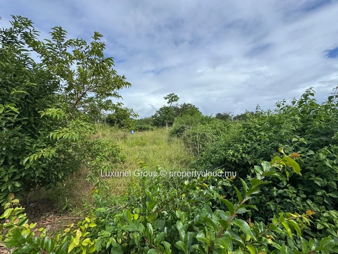 Residential Land For Sale – The Vale, Grand Baie