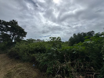 Residential Land