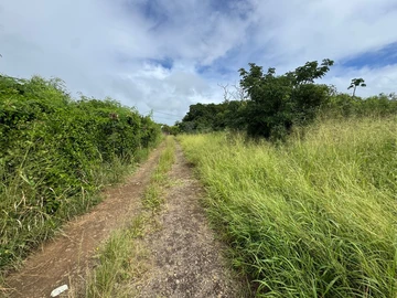 Residential Land