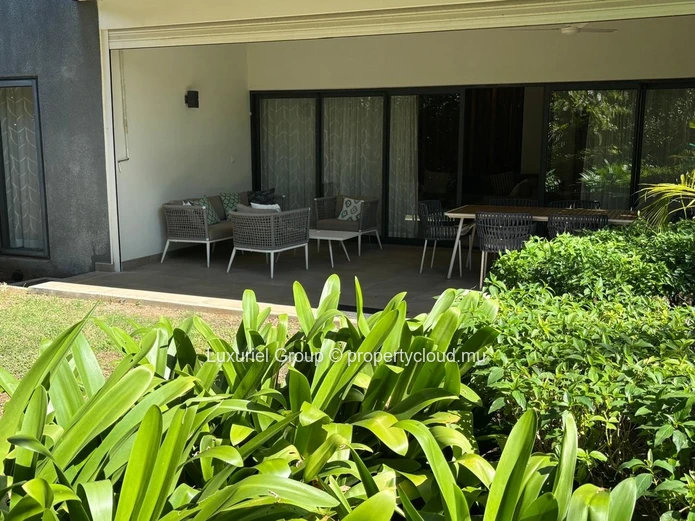 Modern Tropical Living in the Heart of the North