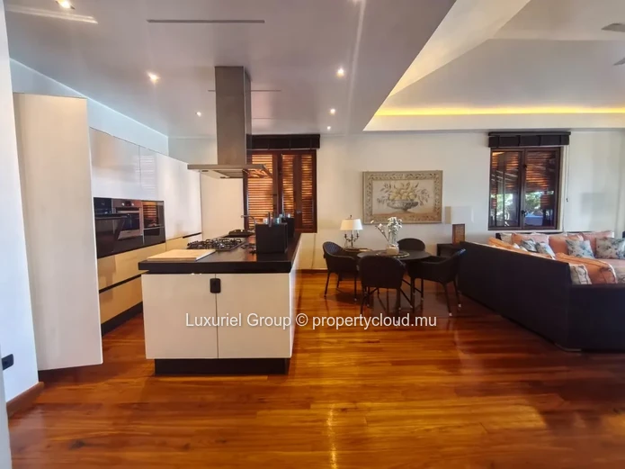 Exceptional Beachfront Villa in Pointe aux Canonniers